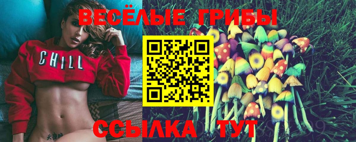 Псилоцибиновые грибы MAGIC MUSHROOMS  Галлюциногенные грибы Magic Shrooms  Зима  Вход с VPN 